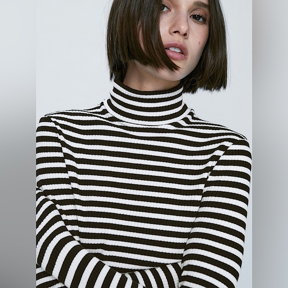 Massimo Dutti Sweaters - Massimo Dutti striped turtleneck Size M. —Last chance!